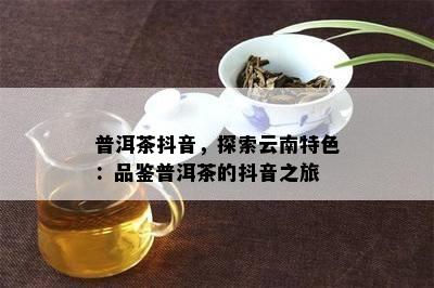 普洱茶抖音，探索云南特色：品鉴普洱茶的抖音之旅