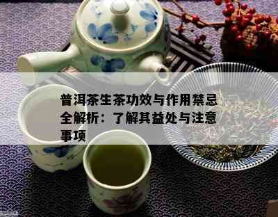 普洱茶生茶功效与作用禁忌全解析：熟悉其益处与留意事项