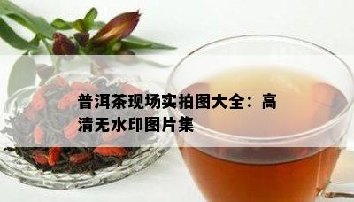 普洱茶现场实拍图大全：高清无水印图片集