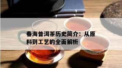 春海普洱茶历史简介：从原料到工艺的全面解析