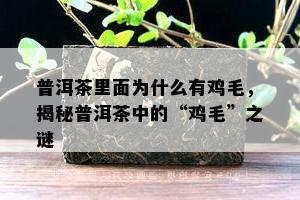 普洱茶里面为什么有鸡毛，揭秘普洱茶中的“鸡毛”之谜