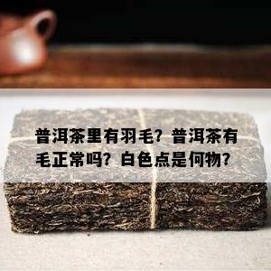 普洱茶里有羽毛？普洱茶有毛正常吗？白色点是何物？