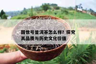 圆世号普洱茶怎么样？探究其品质与历史文化价值