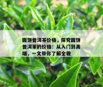 圆饼普洱茶价格，探究圆饼普洱茶的价格：从入门到高端，一文带你熟悉全貌