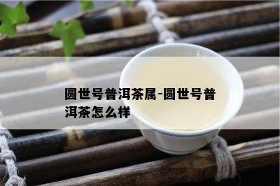 圆世号普洱茶属-圆世号普洱茶怎么样