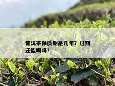 普洱茶保质期是几年？过期还能喝吗？