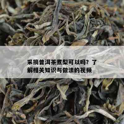 采摘普洱茶煮梨可以吗？了解相关知识与做法的视频