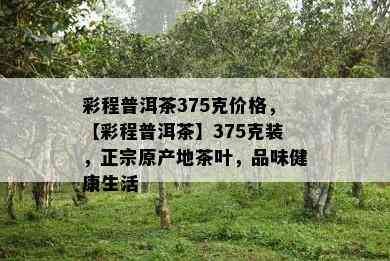 彩程普洱茶375克价格，【彩程普洱茶】375克装，正宗原产地茶叶，品味健康生活