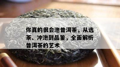 你真的很会泡普洱茶，从选茶、冲泡到品鉴，全面解析普洱茶的艺术