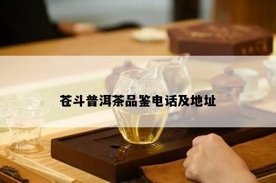 苍斗普洱茶品鉴电话及地址