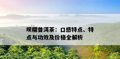 坝糯普洱茶：口感特点、特点与功效及价格全解析