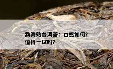 勐海熟普洱茶：口感怎样？值得一试吗？