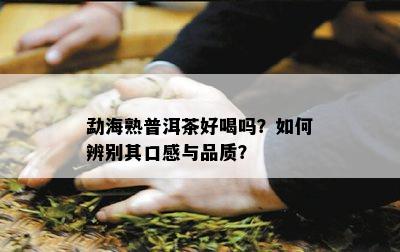 勐海熟普洱茶好喝吗？怎样辨别其口感与品质？