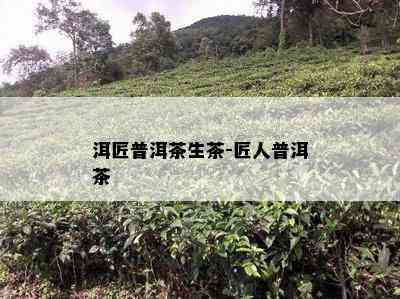 洱匠普洱茶生茶-匠人普洱茶