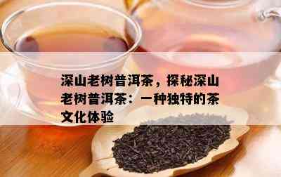 深山老树普洱茶，探秘深山老树普洱茶：一种独特的茶文化体验