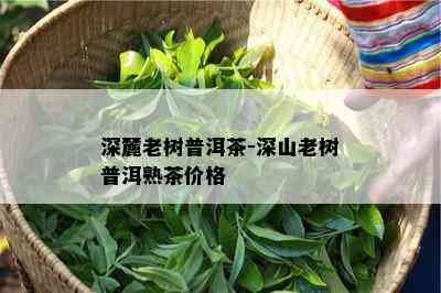 深麓老树普洱茶-深山老树普洱熟茶价格