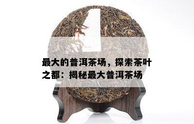 更大的普洱茶场，探索茶叶之都：揭秘更大普洱茶场