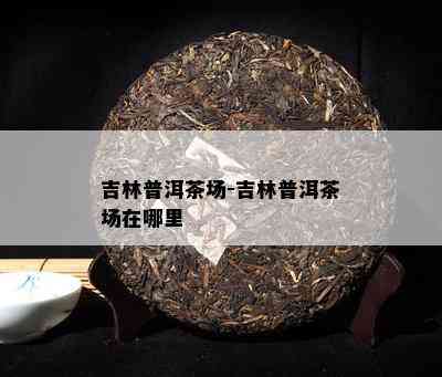 吉林普洱茶场-吉林普洱茶场在哪里