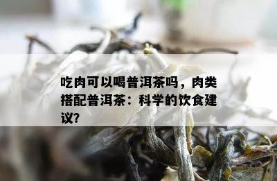 吃肉可以喝普洱茶吗，肉类搭配普洱茶：科学的饮食建议？