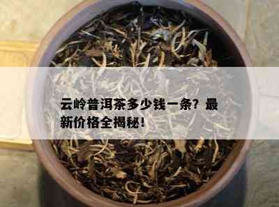 云岭普洱茶多少钱一条？最新价格全揭秘！