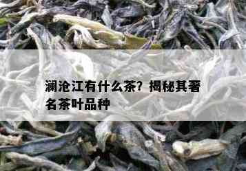 澜沧江有什么茶？揭秘其著名茶叶品种