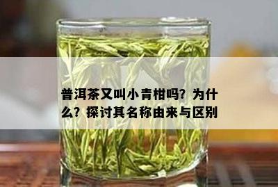 普洱茶又叫小青柑吗？为什么？探讨其名称由来与区别