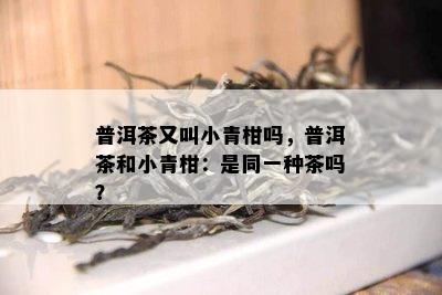 普洱茶又叫小青柑吗，普洱茶和小青柑：是同一种茶吗？