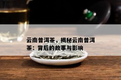 云南普洱茶，揭秘云南普洱茶：背后的故事与影响