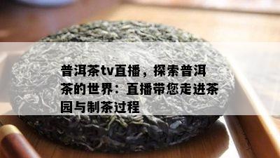 普洱茶tv直播，探索普洱茶的世界：直播带您走进茶园与制茶过程