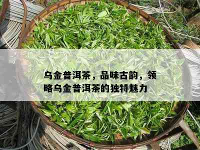 乌金普洱茶，品味古韵，领略乌金普洱茶的特别魅力