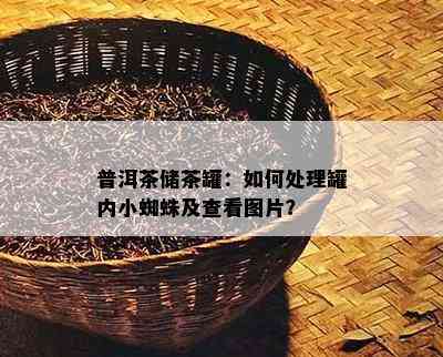 普洱茶储茶罐：怎样解决罐内小蜘蛛及查看图片？