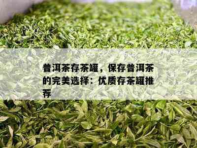 普洱茶存茶罐，保存普洱茶的完美选择：优质存茶罐推荐