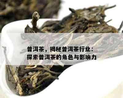 普洱茶，揭秘普洱茶行业：探索普洱茶的角色与影响力