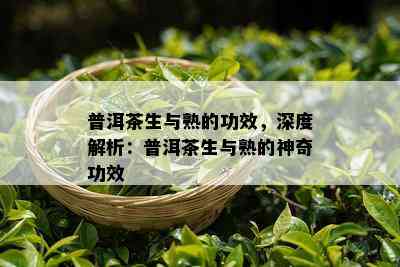 普洱茶生与熟的功效，深度解析：普洱茶生与熟的神奇功效