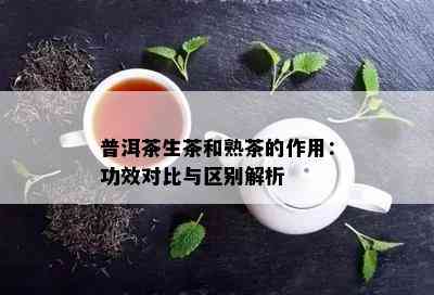 普洱茶生茶和熟茶的作用：功效对比与区别解析