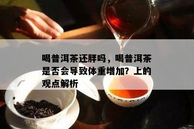 喝普洱茶还胖吗，喝普洱茶是否会导致体重增加？上的观点解析