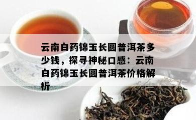 云南白锦玉长圆普洱茶多少钱，探寻神秘口感：云南白锦玉长圆普洱茶价格解析