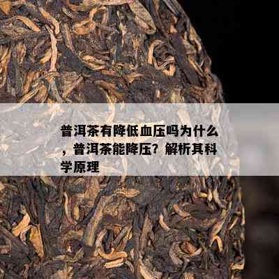 普洱茶有减少血压吗为什么，普洱茶能降压？解析其科学原理