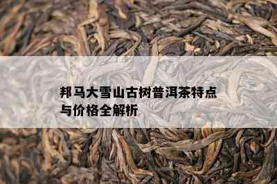 邦马大雪山古树普洱茶特点与价格全解析