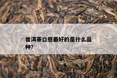 普洱茶口感更好的是什么品种？