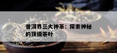 普洱界三大神茶：探索神秘的顶级茶叶