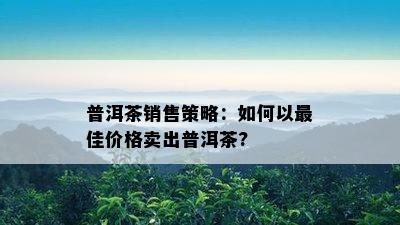 普洱茶销售策略：怎样以更佳价格卖出普洱茶?