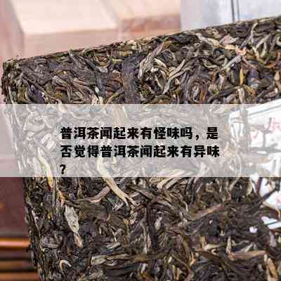 普洱茶闻起来有怪味吗，是否觉得普洱茶闻起来有异味？