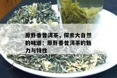 原野香普洱茶，探索大自然的味道：原野香普洱茶的魅力与特性