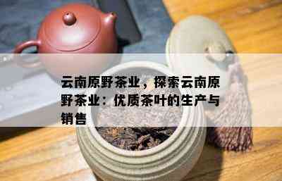 云南原野茶业，探索云南原野茶业：优质茶叶的生产与销售