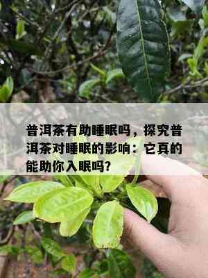 普洱茶有助睡眠吗，探究普洱茶对睡眠的作用：它真的能助你入眠吗？