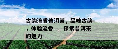 古韵流香普洱茶，品味古韵，体验流香——探索普洱茶的魅力