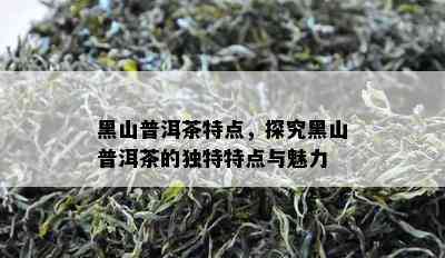 黑山普洱茶特点，探究黑山普洱茶的特别特点与魅力