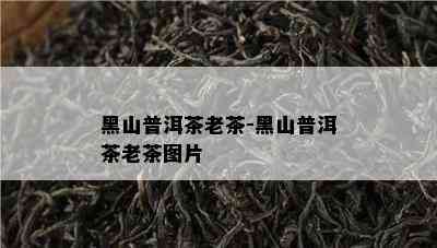 黑山普洱茶老茶-黑山普洱茶老茶图片