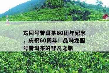 龙园号普洱茶60周年纪念，庆祝60周年！品味龙园号普洱茶的非凡之旅